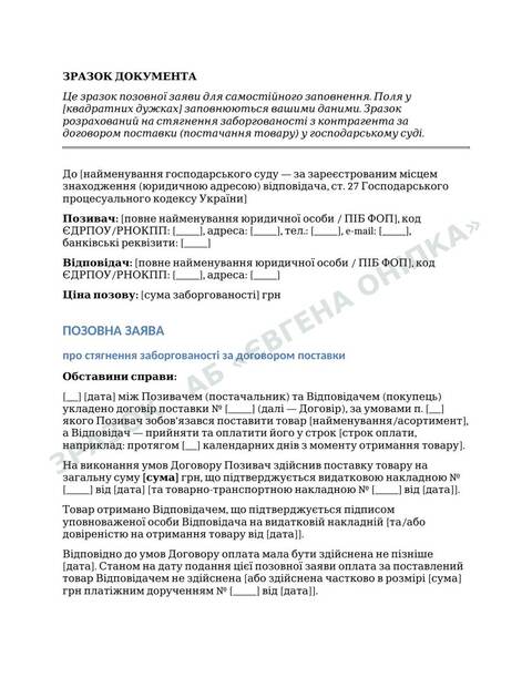 Приклад сторінки шаблону: Стягнення боргу за договором поставки